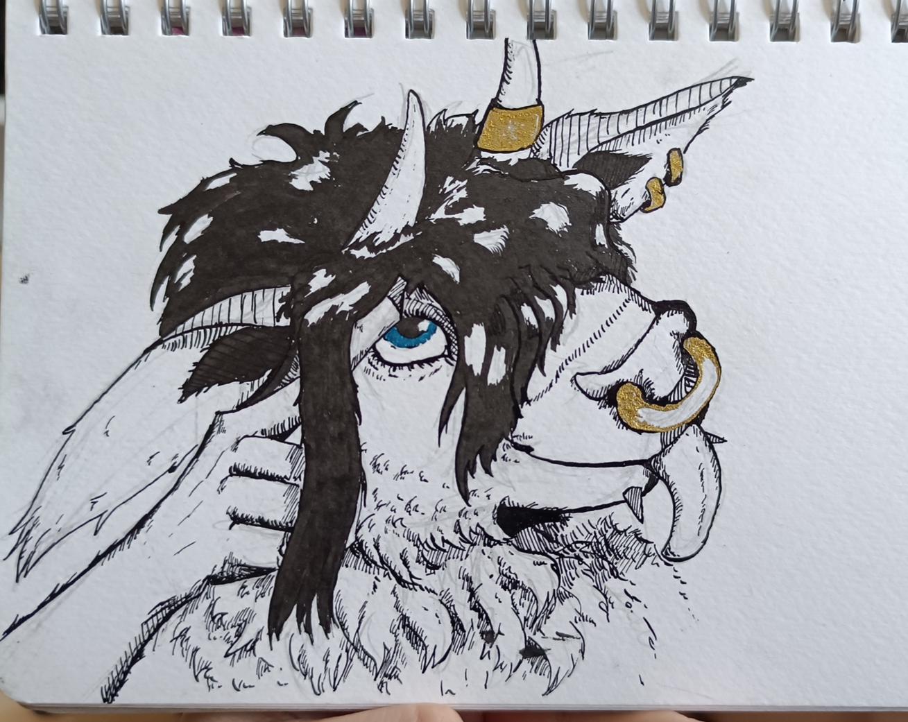 Female Highland cow with a bronze nose ring, horn ring and two earrings. Her hair is long and covering her eyes 
She uses her hand do push a stand of hair away to look at the viewer with her blue eye. she is poking out her long tongue and looking adorable